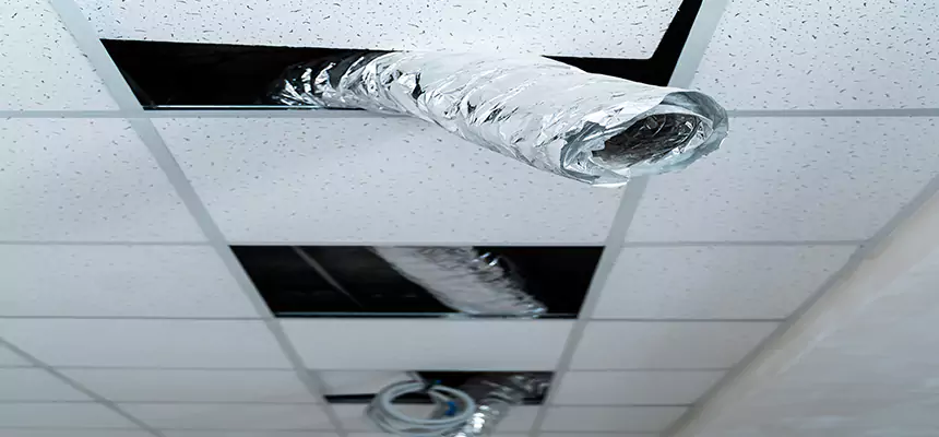 Our Air Duct Pet Hair Removal Services in Selden, NY