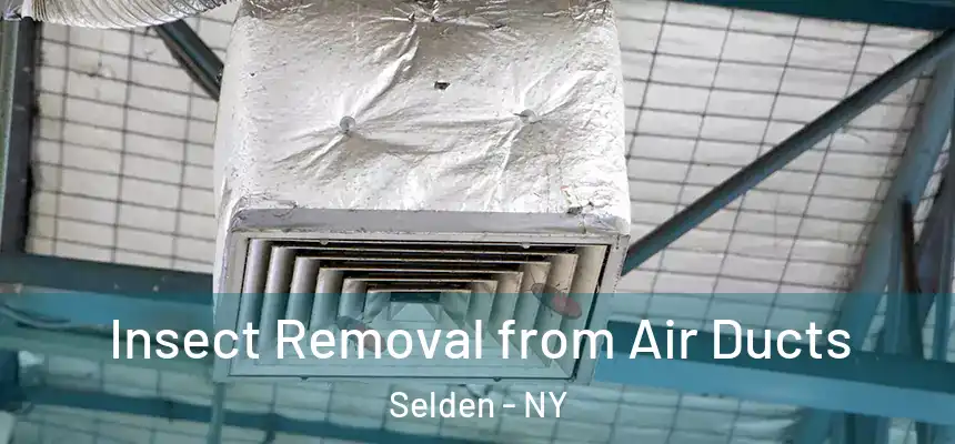  Insect Removal from Air Ducts Selden - NY