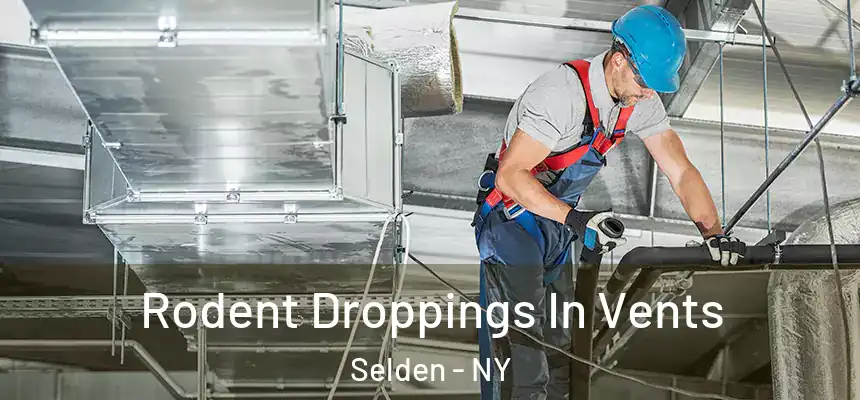  Rodent Droppings In Vents Selden - NY