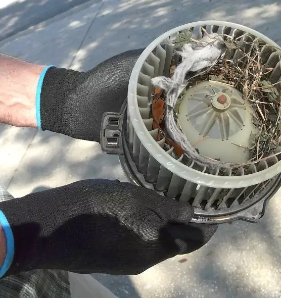 About Air Duct Rat Removal in Selden, NY