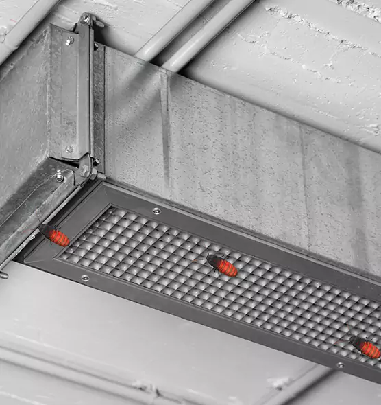 Affordable Insect Removal from Air Ducts in Selden, NY